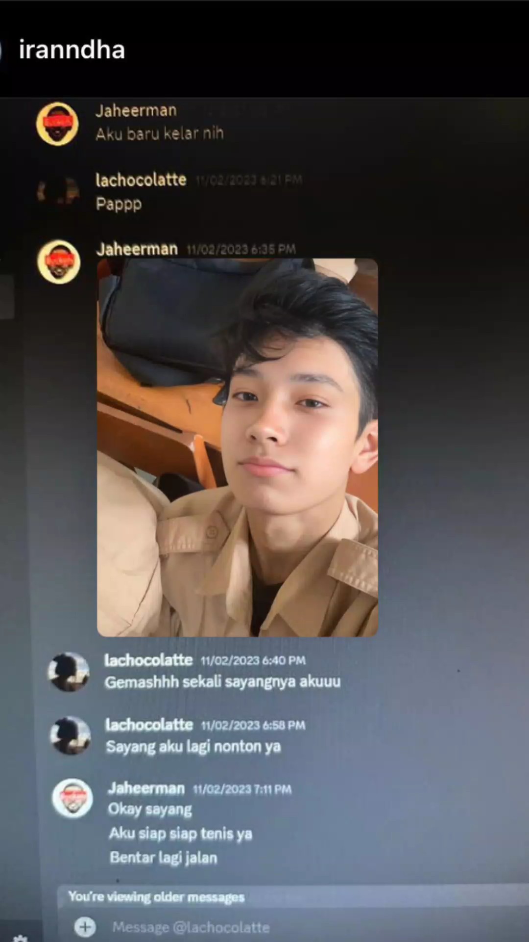 Chat Almer Bela Disc