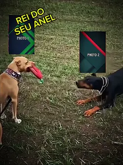 New Trend Templatet