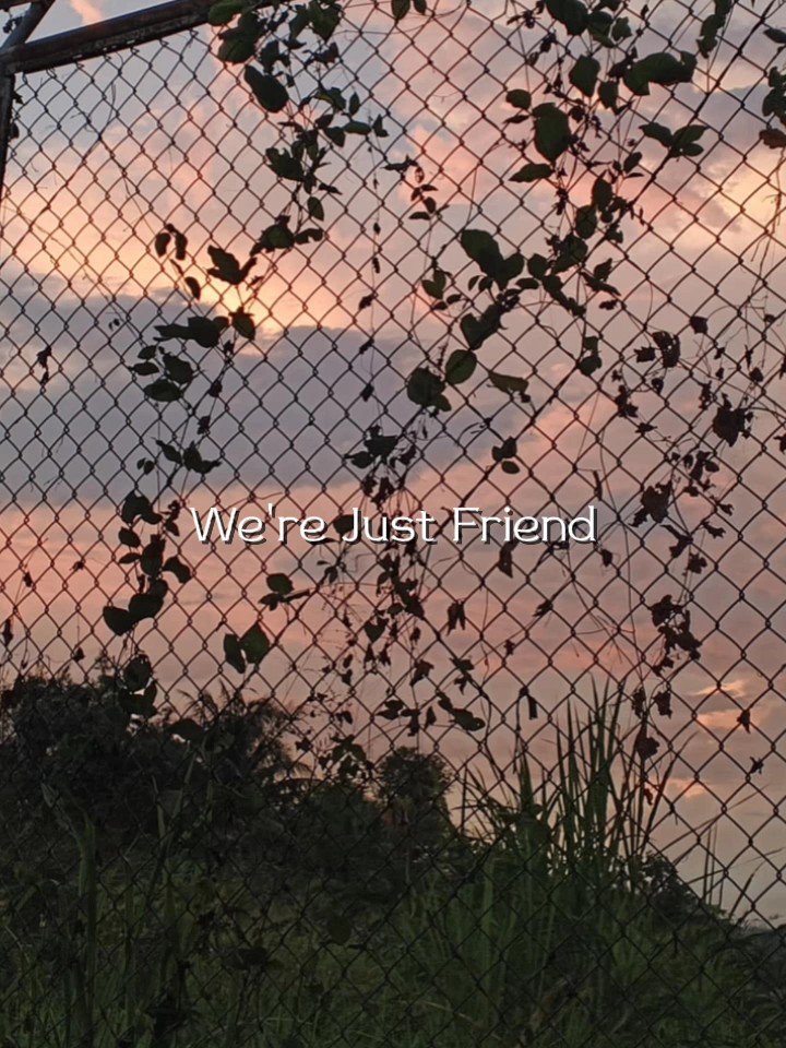 Solo Somos Amigos 