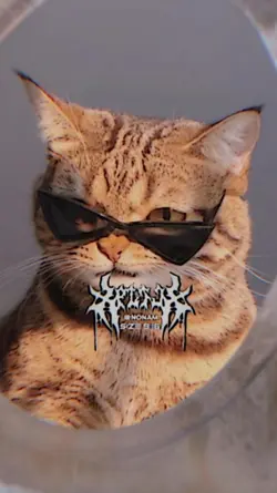 2รูปเท่ๆ