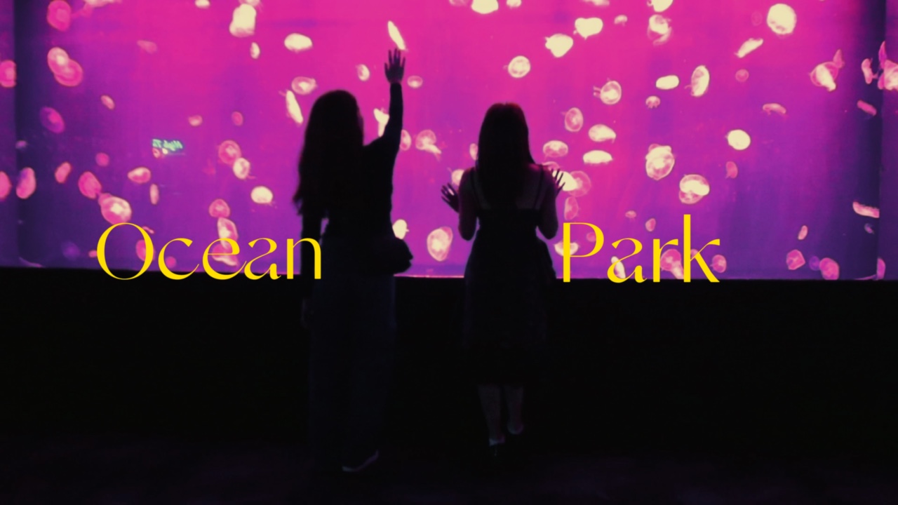 Ocean park 