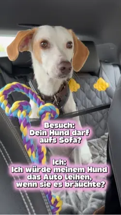 Hundeleben ✨
