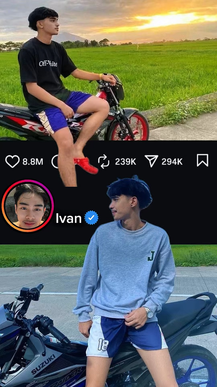 Tendência De Postagens No Instagram