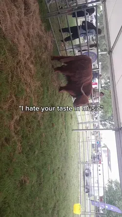 don't care