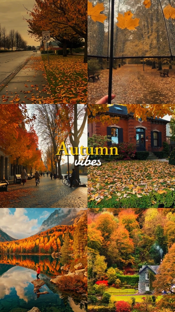 Vibras de otoño