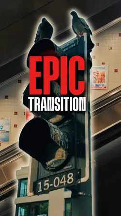 EPIC TRANSITION CITY