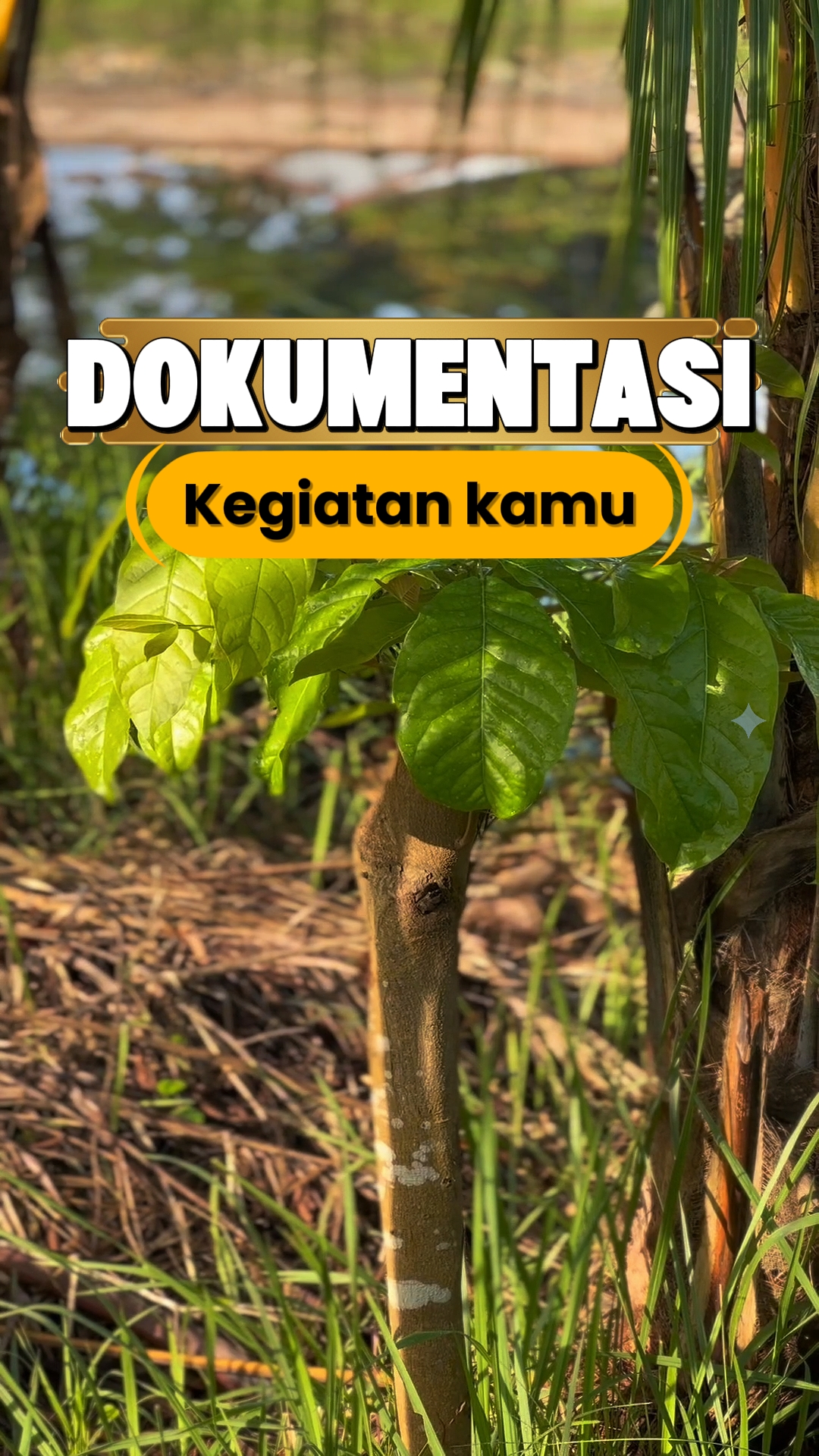 TENDÊNCIA DOKUMENTASI 