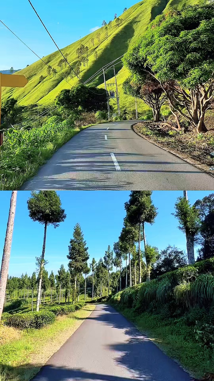 2 collage de videos