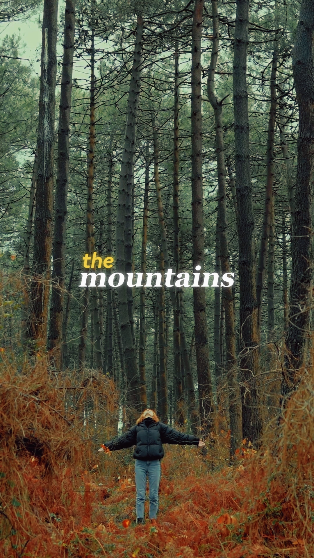 the mountains