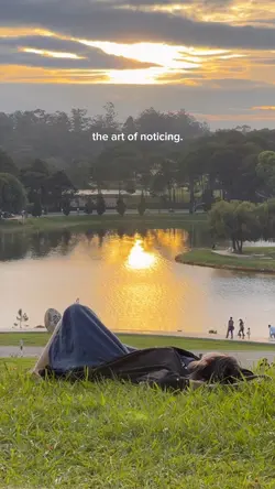 art of noticing