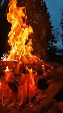 焚き火🔥