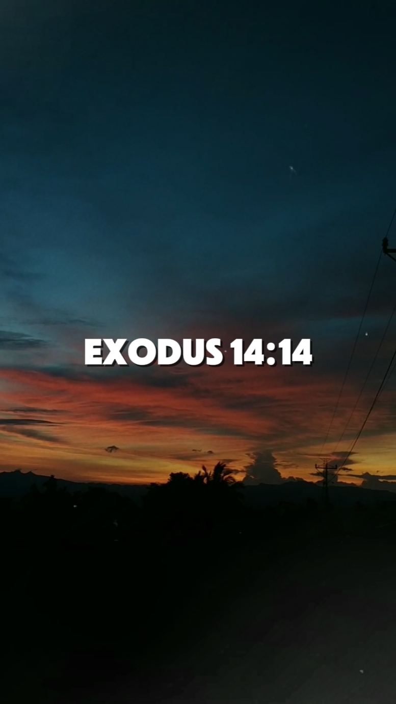 Éxodo 14: 14