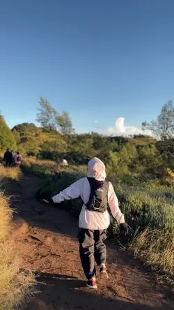 Wahai pujangga