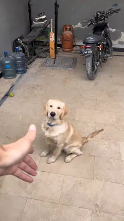 Hua mei xFinding her