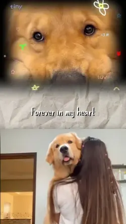 Forever in my heart