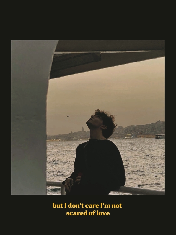Cover Picture