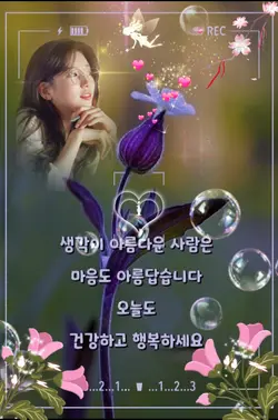 음악영상 음악템플릿MusicVideo