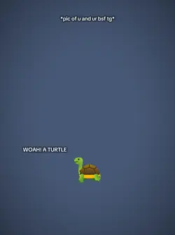 woah a turtle 