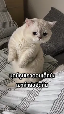 นุดมีรูปเราตินเด็กป่ะ