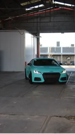 FZTHROTTLE-Audi