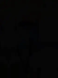 1 video và nhiều ảnh