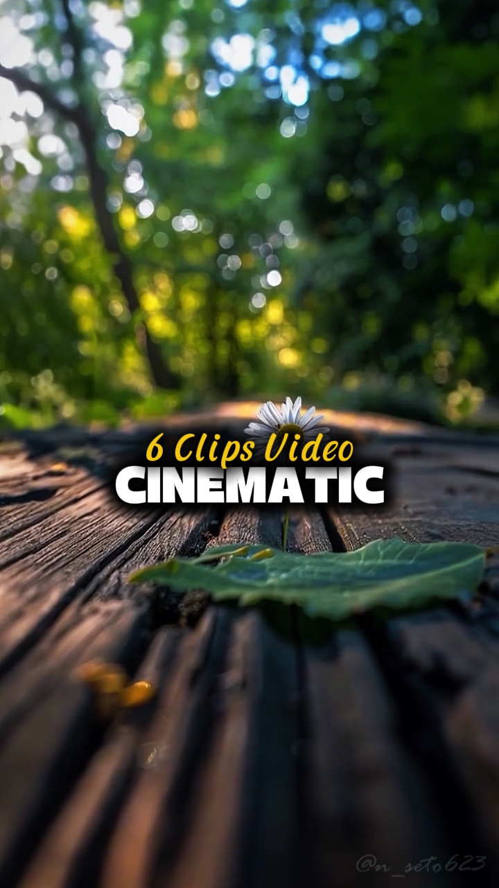 6 clipes de vídeo