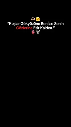 yeni şablon geldi 