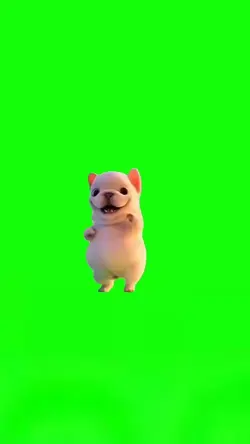 Happy Dog Mood Dance