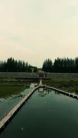 Past lives | 2 video