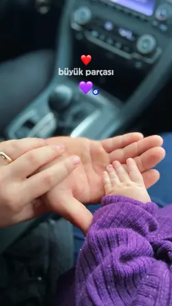 harika şablon