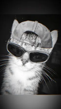 2 ẢNH GIẬT GIẬT CUỐN