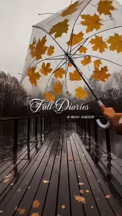 fall diaries