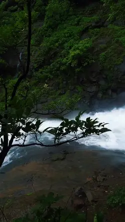 6 video cinematic