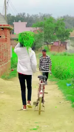 video lucu