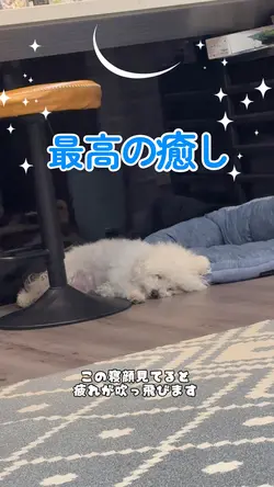 疲れが吹っ飛びます！