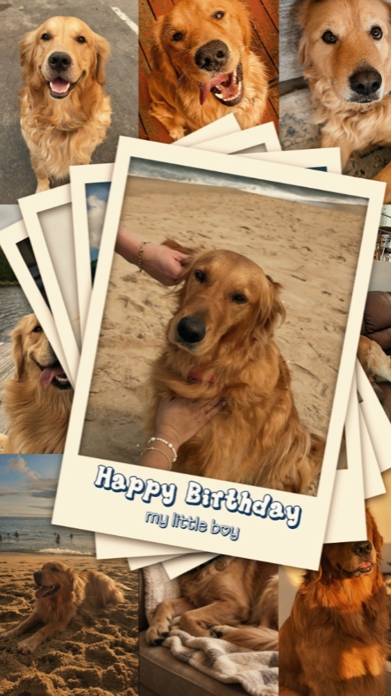 Birthday My Pet