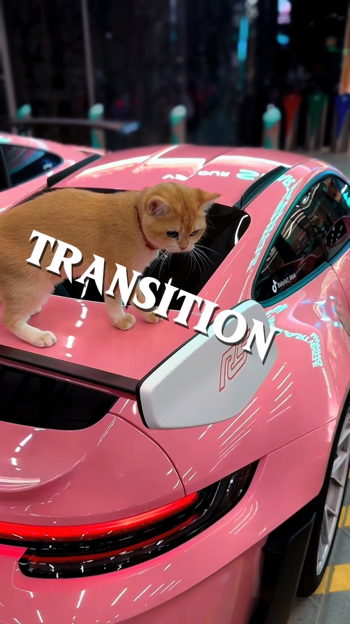 Edição do carro | transição