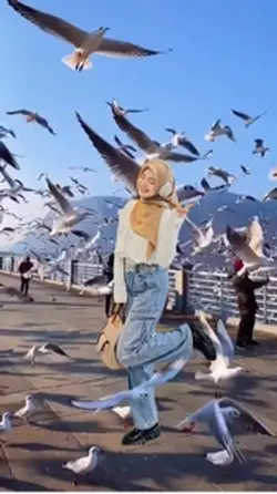 Mẫu chim 🐦