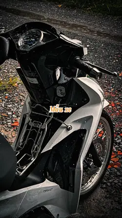 Mẫu xe 