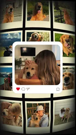Memories with my dog