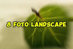 8 foto landscape