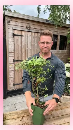 Gardener vs baker