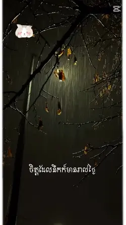 ចង់ប្រាប់ថានឹក🥺💞