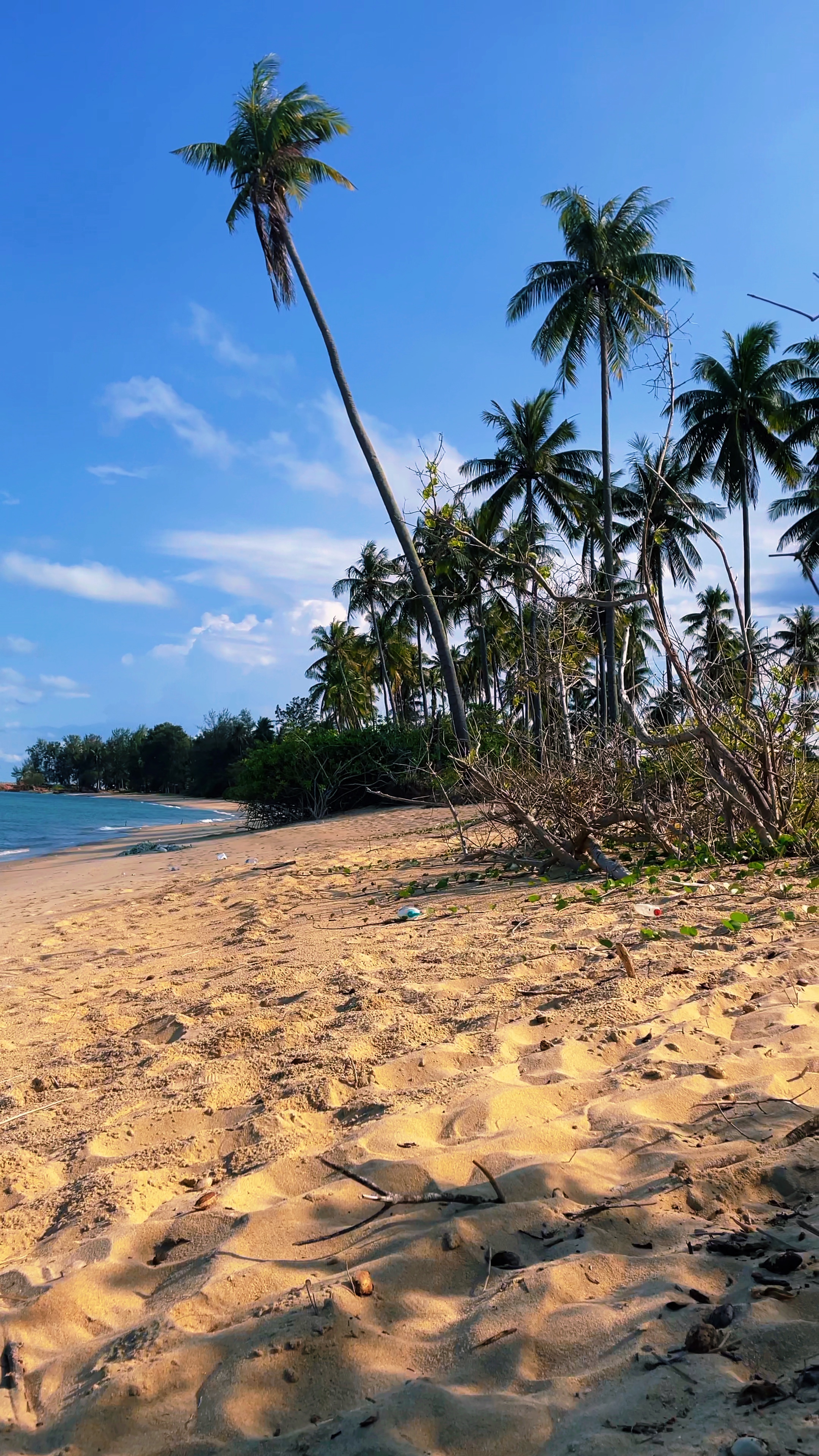 Keindahan pantai