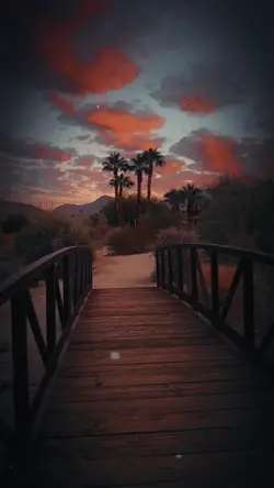 Happiness Cinematic
