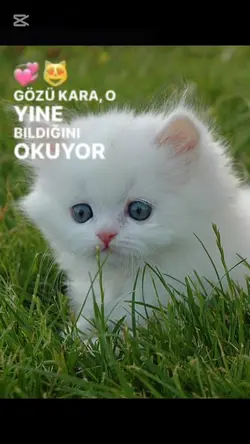 çiçek gibi tazecik