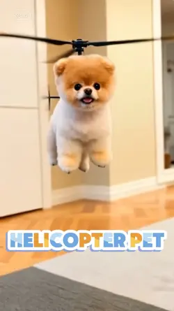 Helicopter pet