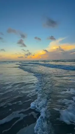 ไลฟ์โฟโต้