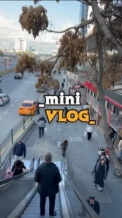 mini Vlog