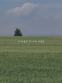 Flower 플라워